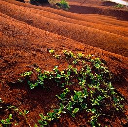 《辐射》创作者回忆开发历程：如何对抗杀人狂玩家